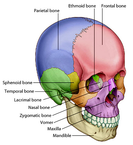 Retroperitoneal