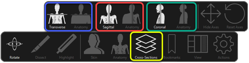 superior and inferior cross section controls